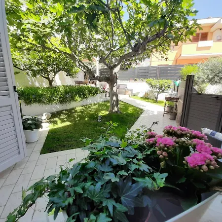 My House Bed & Breakfast