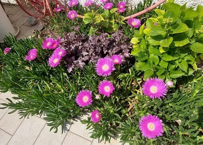 ベッド・アンド・ブレックファスト My House 4*